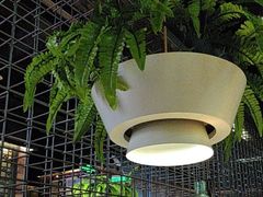 -天山醉美辣子鸡(文艺路店)