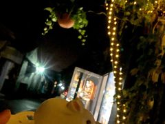 -Sirena海妖日咖夜酒