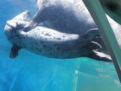 -青岛海底世界-水族馆