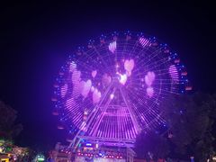 -松鼠王国