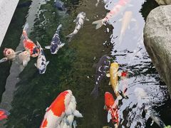 -贵阳高新惠诚食品有限公司