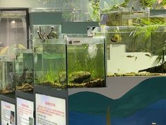 -上海大自然野生昆虫馆(东方明珠·爬宠昆虫探索中心)