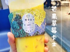 -野萃山·潮汕厚果汁(十亩地店)