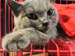 -第三空间·趣味桌游·轰趴.室内CS.剧本杀(大武汉1911店)