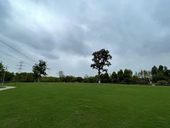 -长田漾湿地公园