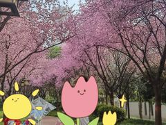 -木塔寺遗址生态公园