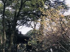 -东航云逸酒店(九溪烟树店)