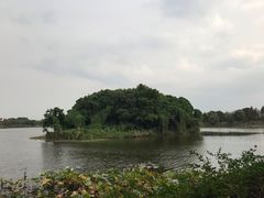 -上海市保健医疗中心(华东疗养院)