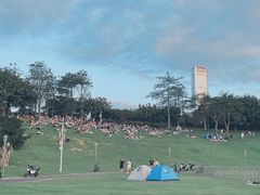 -深圳湾公园(南山区)