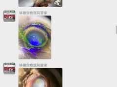 -哆趣宠物医院·眼科·内镜·急重症转诊中心(上海店)