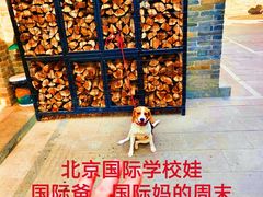 -日本大使馆-新闻文化中心