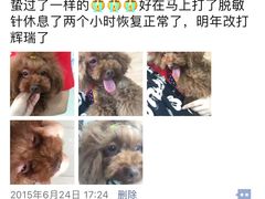 -爱侣宠医·鹦鹉专科·小型哺乳类·异宠专科(灵石路店)