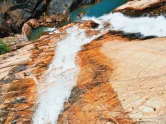 -广州白江湖森林公园