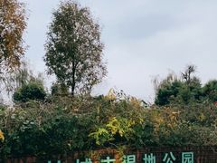 -眉山湿地公园(东坡区)