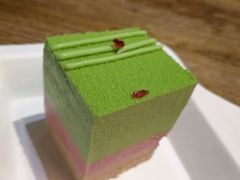 -DEMO黛慕蛋糕