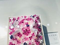 -BLACKSWAN黑天鹅(环球店)