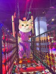 -幻贝家儿童乐园(温州银泰城店)