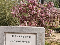 -海棠花溪(元大都城垣遗址公园)