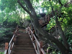 -大岭沟猕猴桃谷风景区