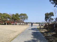 -春花秋色城市公园
