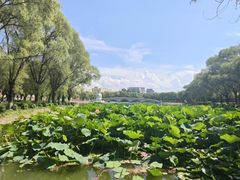 -哈尔滨师范大学(松北校区)