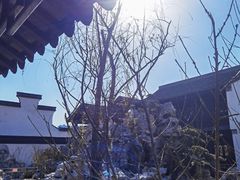 -青果巷历史文化街区