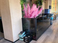 -桥边小楼·手工云南菜·古城观景小楼