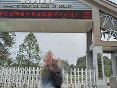 -中国大熊猫保护研究中心雅安碧峰峡基地