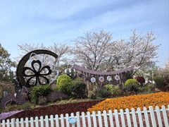 -顾村公园