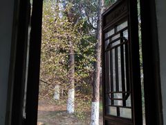 -八大山人梅湖景区