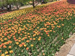 -长春公园(普阳街道)