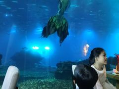 -海棠湾洲际-涛·海底餐厅·美人鱼·自助餐·海底隧道