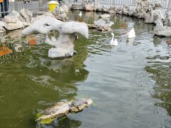 -龙华素斋(龙华路店)