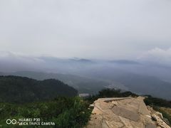 -蔡家酒楼(一德街店)