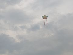 -瑶湖郊野森林公园