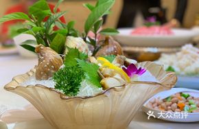 Large Fresh Sea Snail