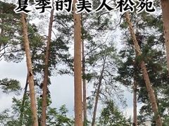 -美人松苑