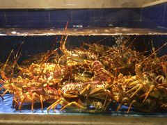 -徐记海鲜(陕西历史博物馆|明德门店)