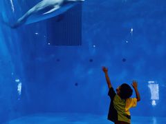 -华夏文旅海洋公园