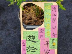 -琴书和韵(上南馆旗舰店)