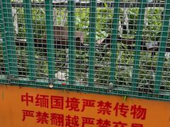-一寨两国风景区