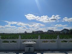 -呼兰河口湿地公园