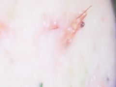 -颐和•海鲜砂锅粥•啫啫煲(奥林匹克广场店)