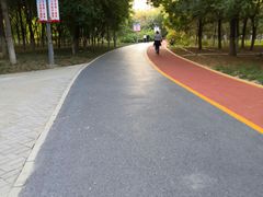 -大兴滨河森林公园