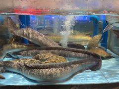 -阿伟海鲜楼·福建菜(延寿店)