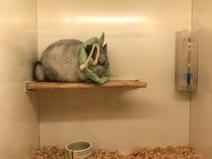 -龙猫仔乐园(惠福东路店)