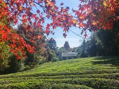-敬亭山风景名胜区