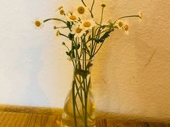 -Ginko银子(青龙街店)