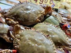 -渔娘渔家丹东海鲜(东直门店)