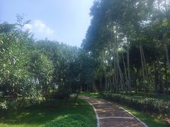 -五缘湾湿地公园